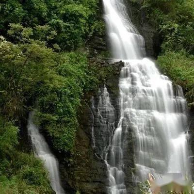 别人说你生活有滋有味怎么回答?-专业蜗牛问答平台